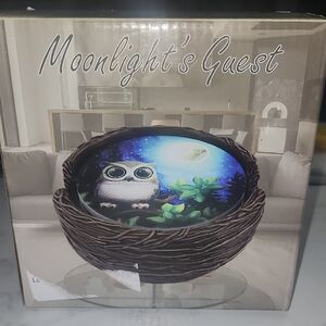 Moonlights Guest Owl Coasters